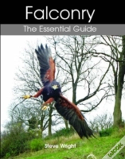 Capa do artigo Falconry