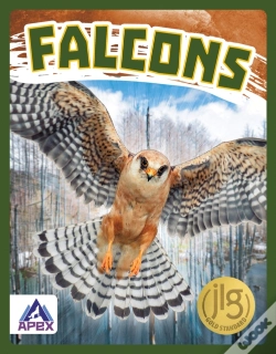 Capa do artigo Falcons
