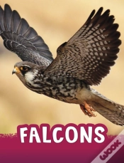 Capa do artigo Falcons