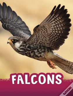 Capa do artigo Falcons