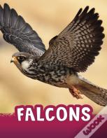 Falcons