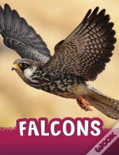 Falcons