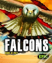 Capa do artigo Falcons