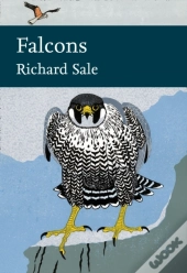 Falcons