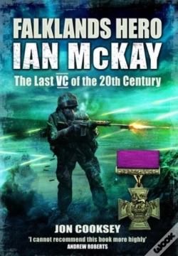 Capa do artigo Falklands Hero