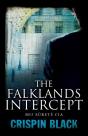 Falklands Intercept - Preview