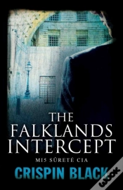 Capa do artigo Falklands Intercept