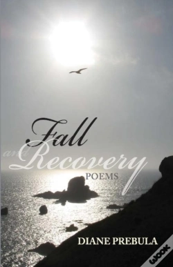 Capa do artigo Fall And Recovery