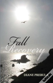 Capa do artigo Fall And Recovery