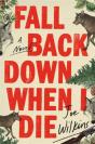 Fall Back Down When I Die - Preview
