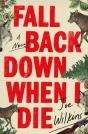 Fall Back Down When I Die - Preview