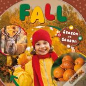 Fall