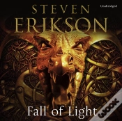 Capa do artigo Fall Of Light