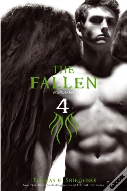 Capa do artigo Fallen 4
