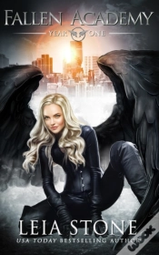 Capa do artigo Fallen Academy: Year One