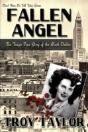 Fallen Angel - Preview