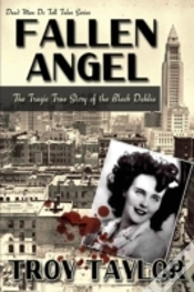 Capa do artigo Fallen Angel