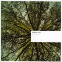 Capa do artigo Fallen Arches - CD
