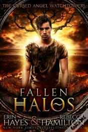 Capa do artigo Fallen Halos