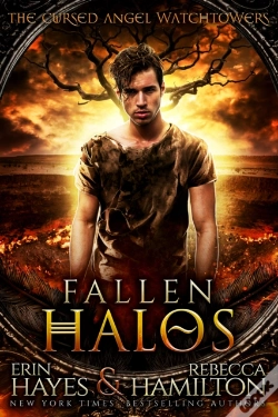 Capa do artigo Fallen Halos
