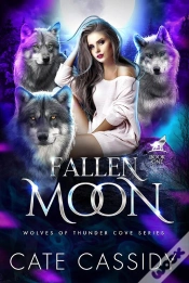 Capa do artigo Fallen Moon