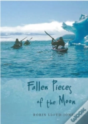 Capa do artigo Fallen Pieces Of The Moon