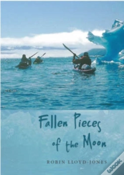 Capa do artigo Fallen Pieces Of The Moon