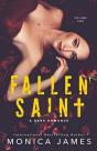 Fallen Saint - Preview