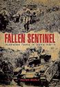 Fallen Sentinel - Preview