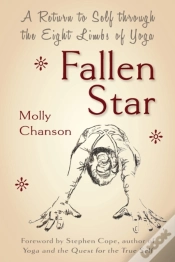 Capa do artigo Fallen Star