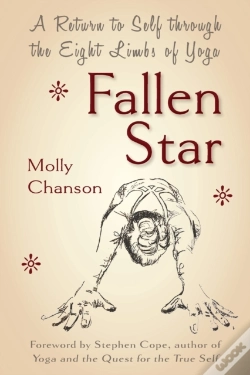 Capa do artigo Fallen Star