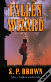 Fallen Wizard