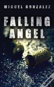 Capa do artigo Falling Angel