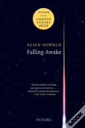 Capa do artigo Falling Awake