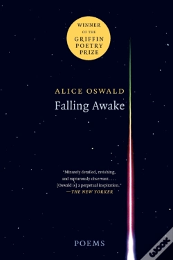 Capa do artigo Falling Awake