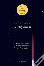 Capa do artigo Falling Awake