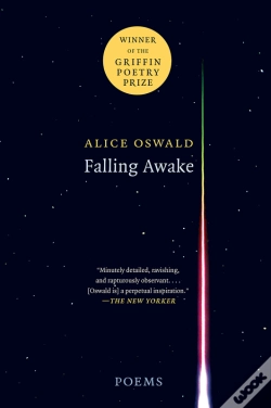 Capa do artigo Falling Awake