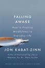 Falling Awake - Preview
