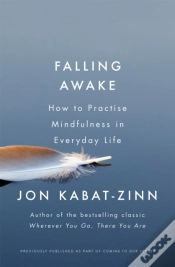 Capa do artigo Falling Awake