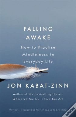 Capa do artigo Falling Awake