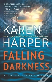 Capa do artigo Falling Darkness