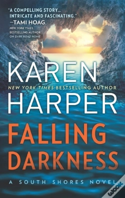 Capa do artigo Falling Darkness