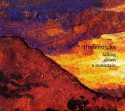 Capa do artigo Falling Down a Mountain - CD