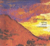 Capa do artigo Falling Down A Mountain - CD