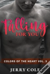 Capa do artigo Falling For You