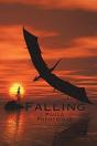 Falling - Preview
