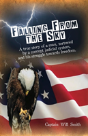 Falling From The Sky - Preview