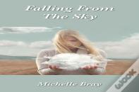 Falling From The Sky