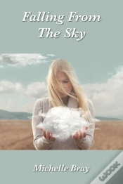 Capa do artigo Falling From The Sky
