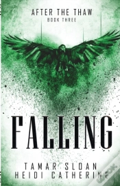 Capa do artigo Falling
